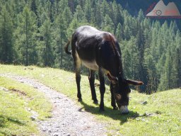 Sommerurlaub 2015 0188